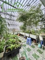 Cần bán nhà phố cầu cốc tây mỗ, diện tích 38m, 4t, mặt tiền3,3m, giá 3,55 tỷ - đường cầu cốc, phường tây mỗ, quận nam từ liêm, hà nội