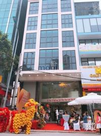 Cho thuê nhà mặt phố yên lãng, 78m2, mặt tiền 8m - yên lãng, phường láng hạ, quận đống đa, hà nội