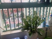 đang trống ch tại ct1 sudico mỹ đình sông đà 110m2 3 phòng ngủ full nội thất đẹp giá 14.5tr/th 093.2526.286 - thanh xuân - hà nội