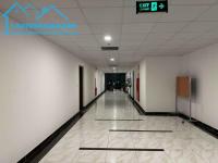 Cho thuê căn hộ làm văn phòng hoặc để ở, thuê từng phòng hoặc cả căn tại tân mai, hoàng - phố tân mai, phường tân mai, quận hoàng mai, hà nội