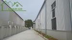 Cho thuê toàn bộ nhà xưởng tại kcn quang minh. mê linh. h. n - đường bắc thăng long-nội bài, thị trấn quang minh, huyện mê linh, hà nội
