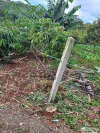 Chính chủ cần cho thuê nhà và vườn cây cafe xã lộc an - huyện bảo lâm - lâm đồng - đường hàm nghi, xã lộc an, huyện bảo lâm, lâm đồng