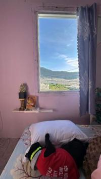 Cho thuê nhà nguyên căn giá rẻ, nhà 2 phòng ngủ. nhà đẹp vào ở ngay - đường nguyễn hữu cầu, phường 12, thành phố đà lạt, lâm đồng