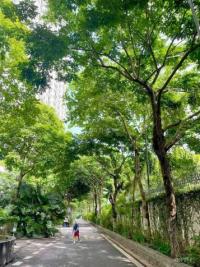 đang sẵn căn hộ ecolife capitol tố hữu, 75m 2 phòng ngủ full đồ đẹp view thoáng chỉ 12tr/th liên hệ 093 2526 286 - thanh xuân - hà nội