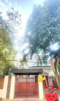 ???? cho thuê villa 6 phòng ngủ chỉ 73tr, đ. nguyễn văn hưởng - nguyễn văn hưởng, phường thảo điền, quận 2 (tp. thủ đức), tphcm