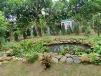 Cho thuê nhà vườn 3400m2 làm café hoặc nghỉ dưỡng, homestay - cầu giấy - hà nội