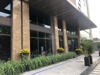 Cho thuê gấp shophouse mặt tiền phạm văn hai- hoàng văn thụ - quận tân bình