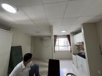 - căn hộ mini 28m2 - chung cư phú mỹ an. - quận 7