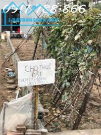 Chính chủ cho thuê lô đất đẹp vị trí trung tâm huyện thường tín - thị trấn thường tín, huyện thường tín, hà nội