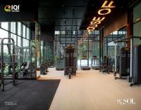 Cho thuê delasol căn 2 phòng giá chính chủ - quận 4